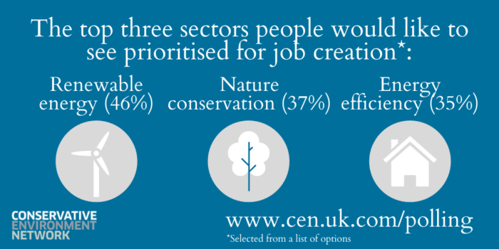Latest polling shows support for green recovery
