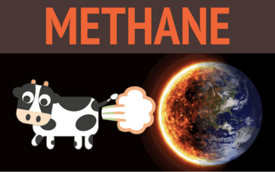 METHANE’S ROLE IN THE CLIMATE EMERGENCY