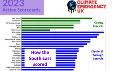 Council Climate Action Scorecards Go Live:  How did the South East do?